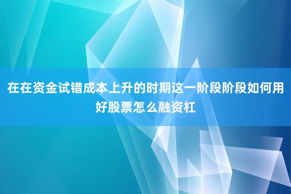 在在资金试错成本上升的时期这一阶段阶段如何用好股票怎么融资杠