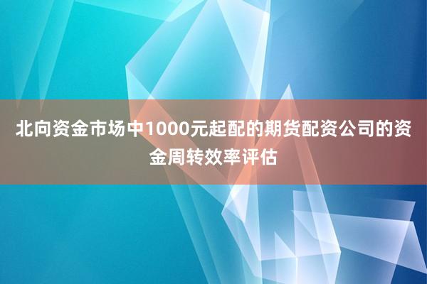 北向资金市场中1000元起配的期货配资公司的资金周转效率评估