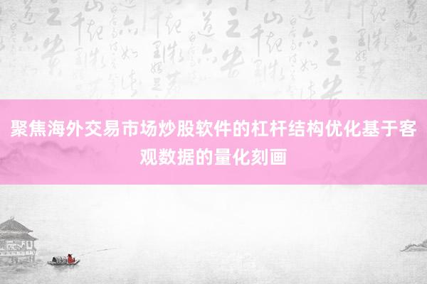 聚焦海外交易市场炒股软件的杠杆结构优化基于客观数据的量化刻画