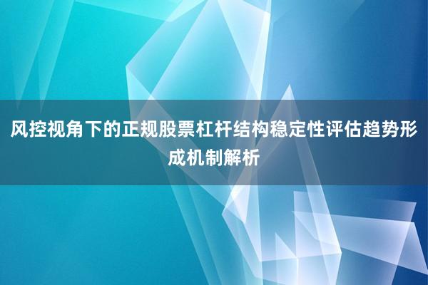 风控视角下的正规股票杠杆结构稳定性评估趋势形成机制解析