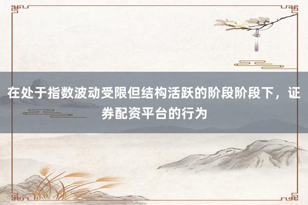 在处于指数波动受限但结构活跃的阶段阶段下，证券配资平台的行为