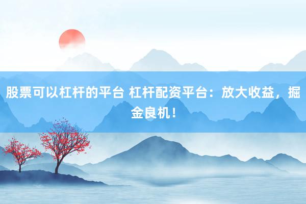 股票可以杠杆的平台 杠杆配资平台：放大收益，掘金良机！