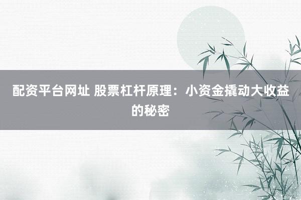 配资平台网址 股票杠杆原理：小资金撬动大收益的秘密