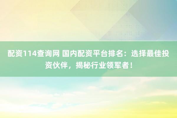 配资114查询网 国内配资平台排名：选择最佳投资伙伴，揭秘行业领军者！