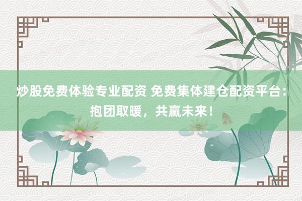 炒股免费体验专业配资 免费集体建仓配资平台：抱团取暖，共赢未来！