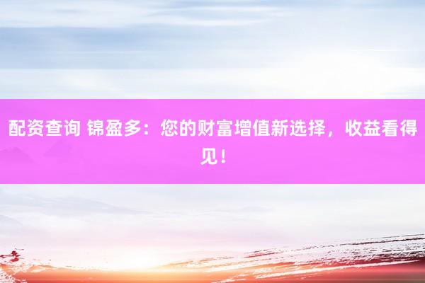 配资查询 锦盈多:您的财富增值新选择,收益看得见!