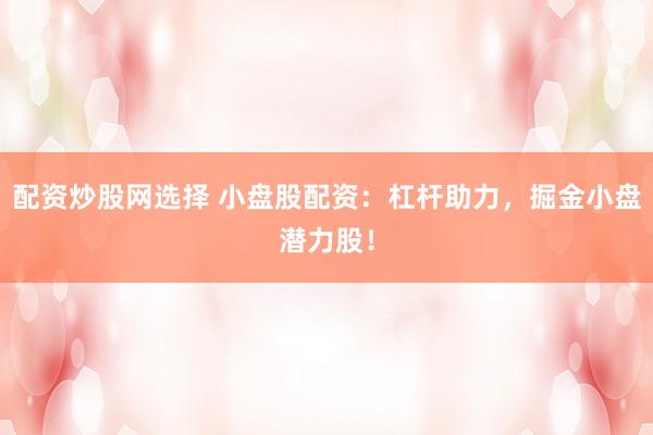 配资炒股网选择 小盘股配资：杠杆助力，掘金小盘潜力股！