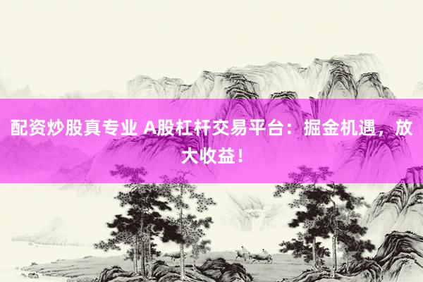 配资炒股真专业 A股杠杆交易平台：掘金机遇，放大收益！